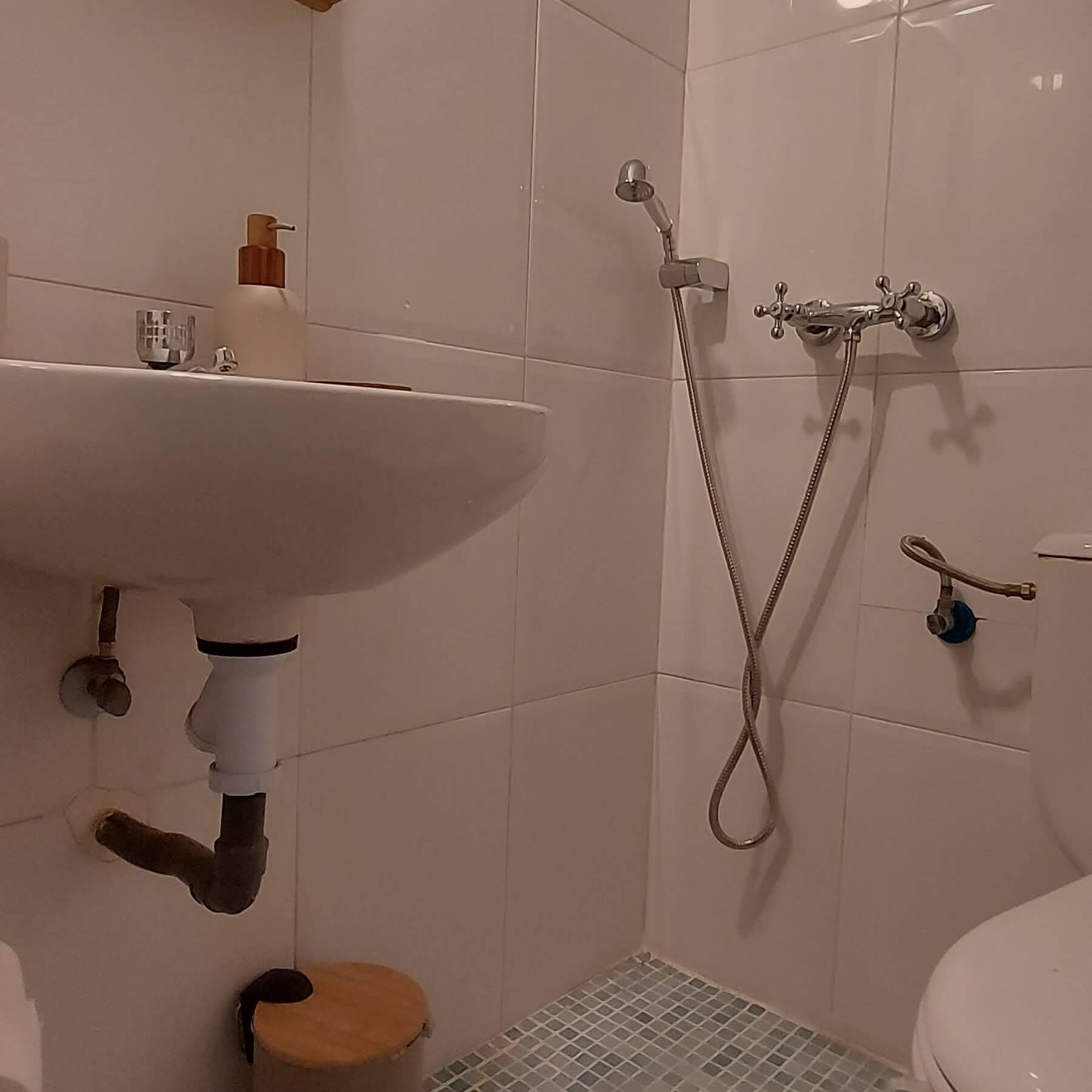 Een badkamer met een wit wastafel, douche en toilet.
