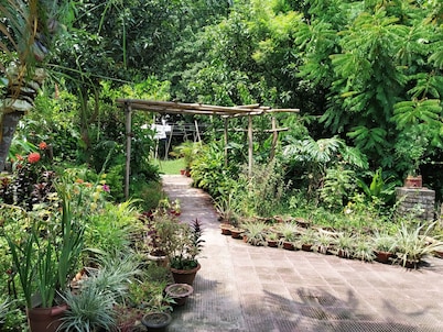 Green Point Resort
