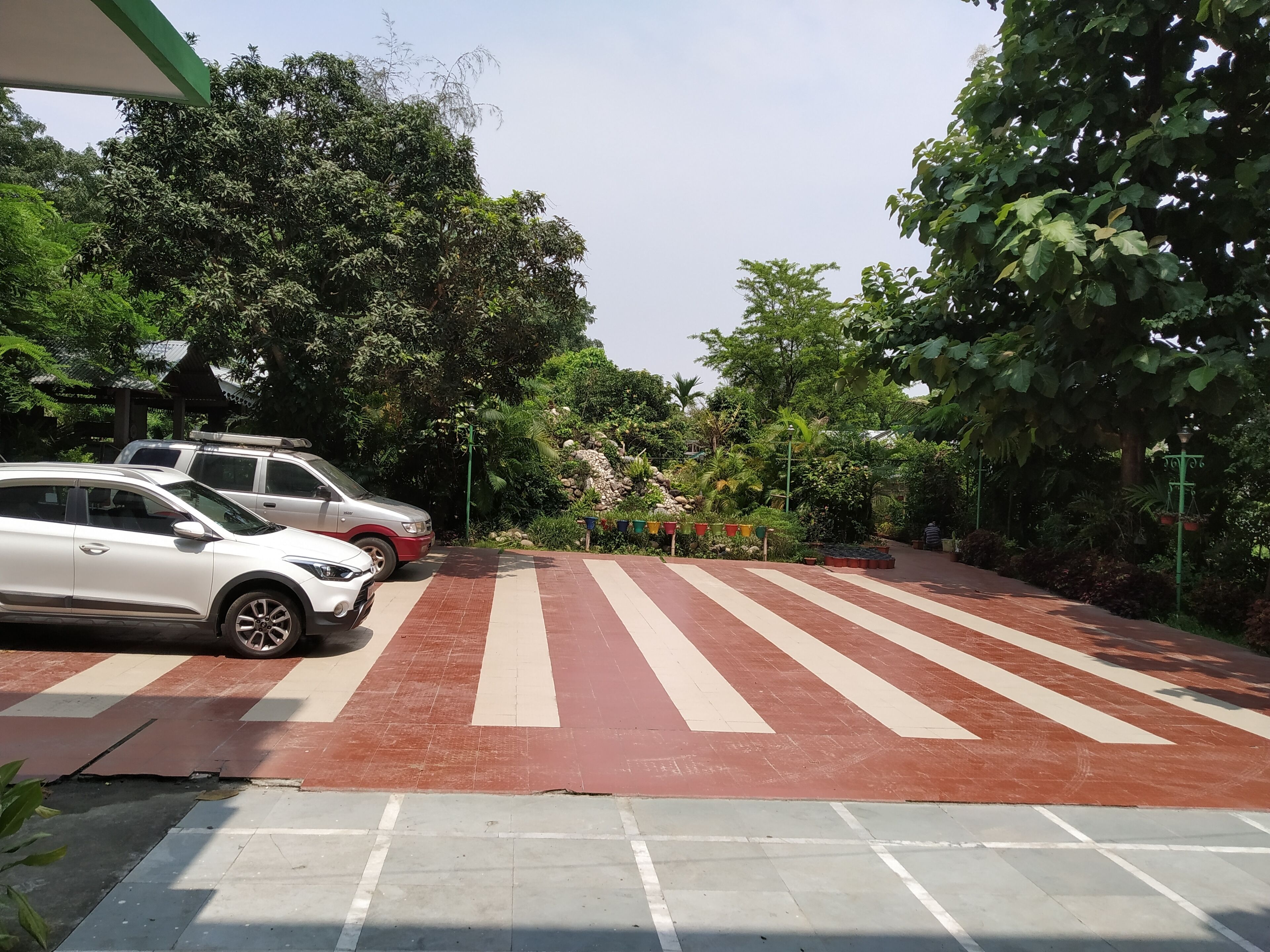 A parking area with two cars, a red and white striped pedestrian crossing, and lush greenery in the background.