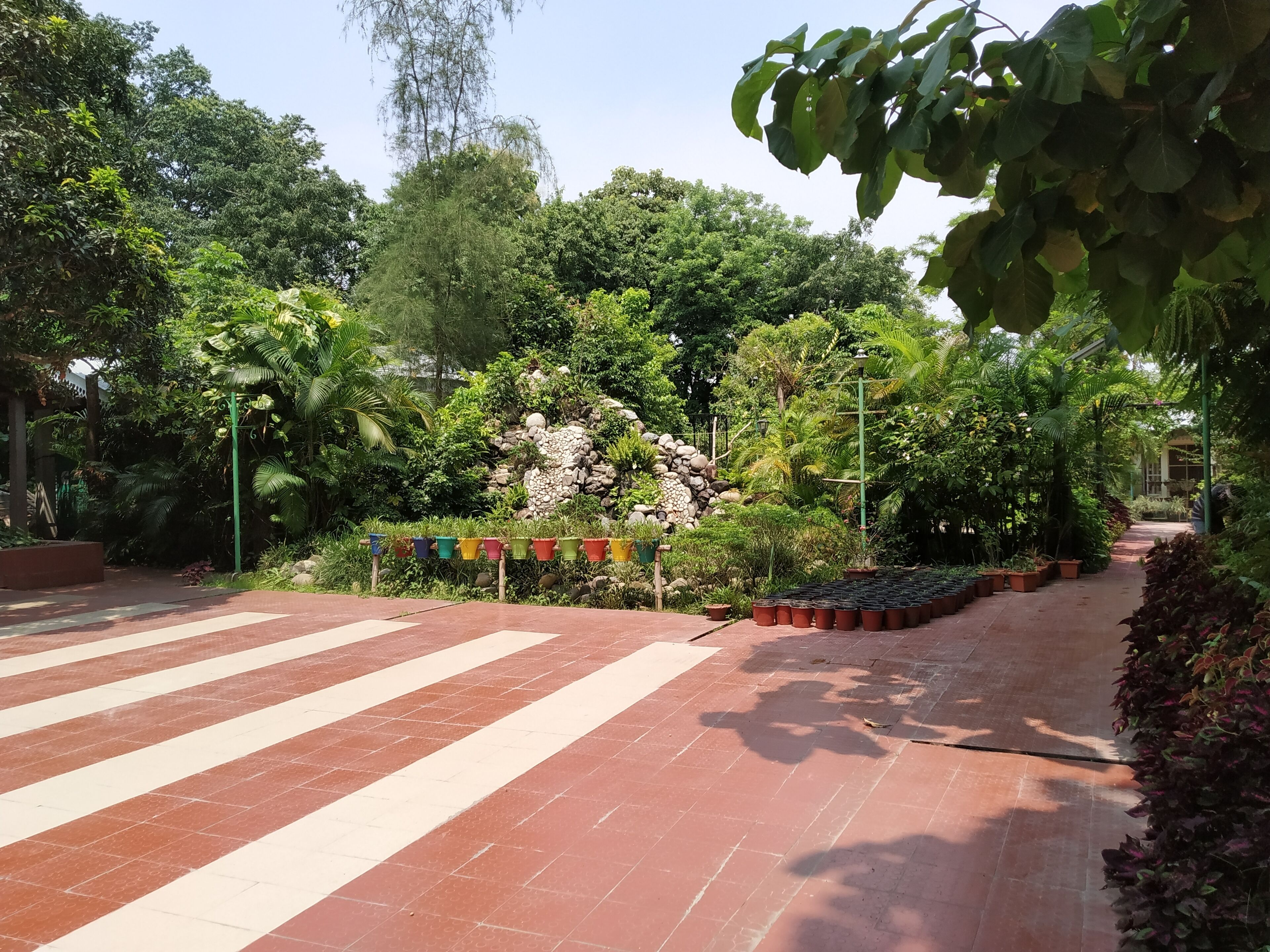 A paved pathway leading through a lush garden with a variety of plants and trees.