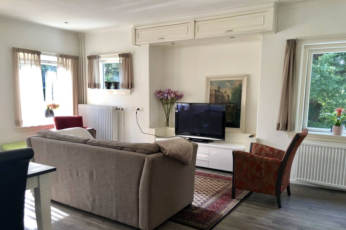 Flat-screen TV