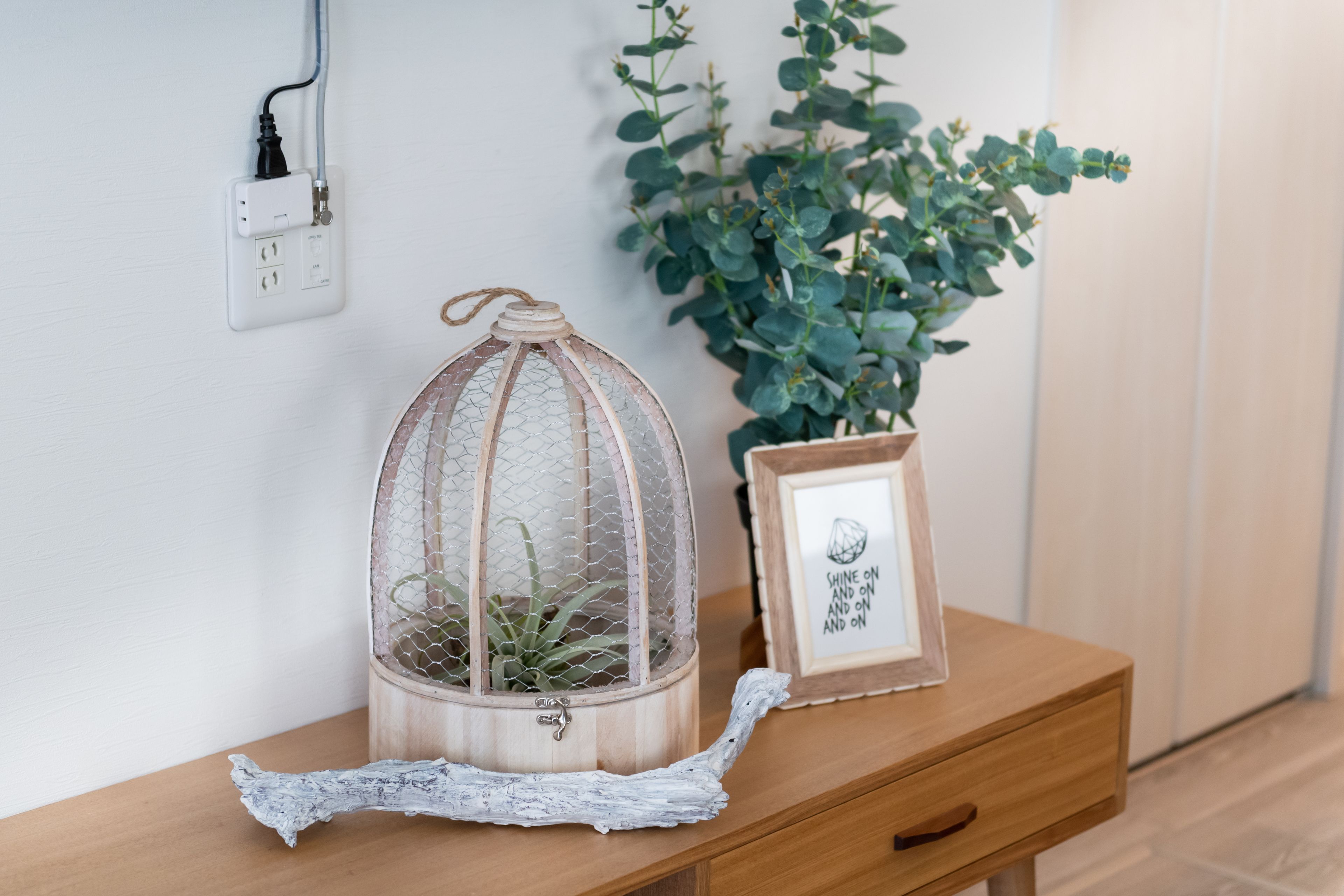 Una mesita de noche de madera con un terrario de vidrio, un cuadro enmarcado y una planta en maceta.