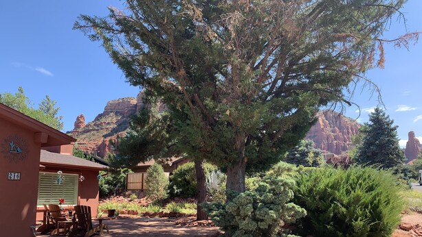 Un bâtiment rustique doté d’un patio, entouré d’un jardin de rocaille et d’un grand arbre.