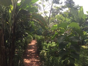 Garden view - Amadi Villa (Orlu)