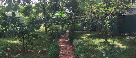 Family Villa | Garden view