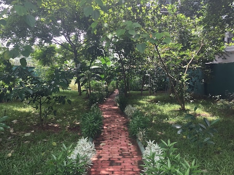Family Villa | Garden view. Amadi Villa