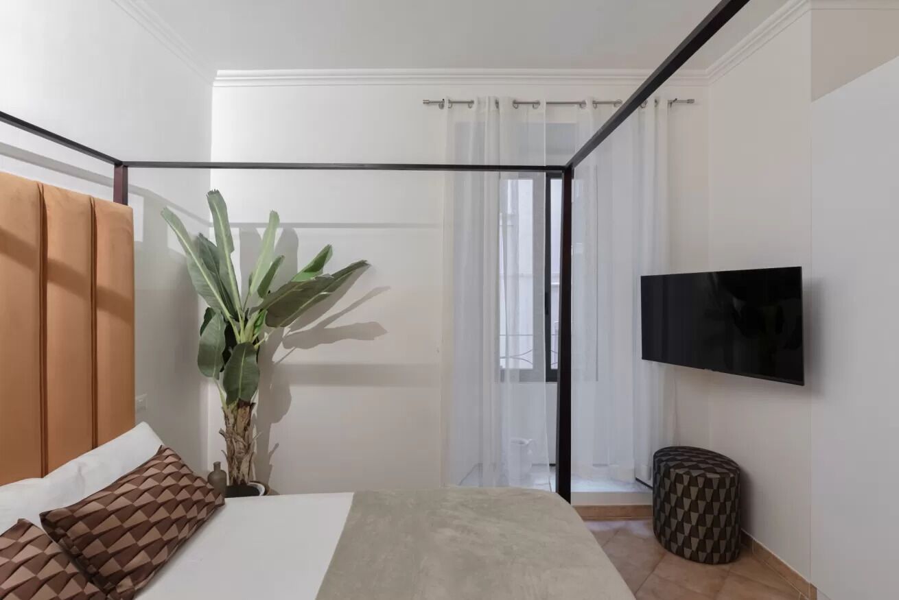 A modern bedroom with a bed, a potted plant, a television, and a window with curtains.