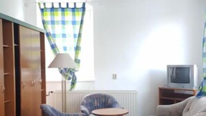 Flat-screen TV