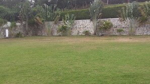 A grassy area with a stone wall and various tropical plants. - Trust White Hotel (Bushenyi)