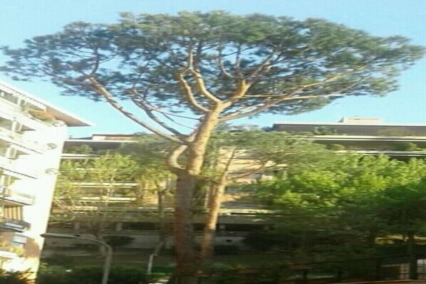 Property grounds - Bright apartment 200 meters from the Sistine Chapel (Roma)