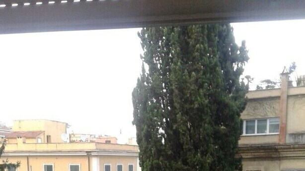 A parking lot with several cars, including a white car and a red car. There is a large tree and some greenery in the background. - Bright apartment 200 meters from the Sistine Chapel (Roma)