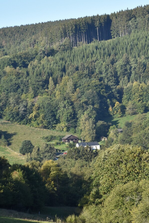 Ein ländliches Haus, eingebettet in einen bewaldeten Hang, mit freiem Blick auf die umliegende Natur.