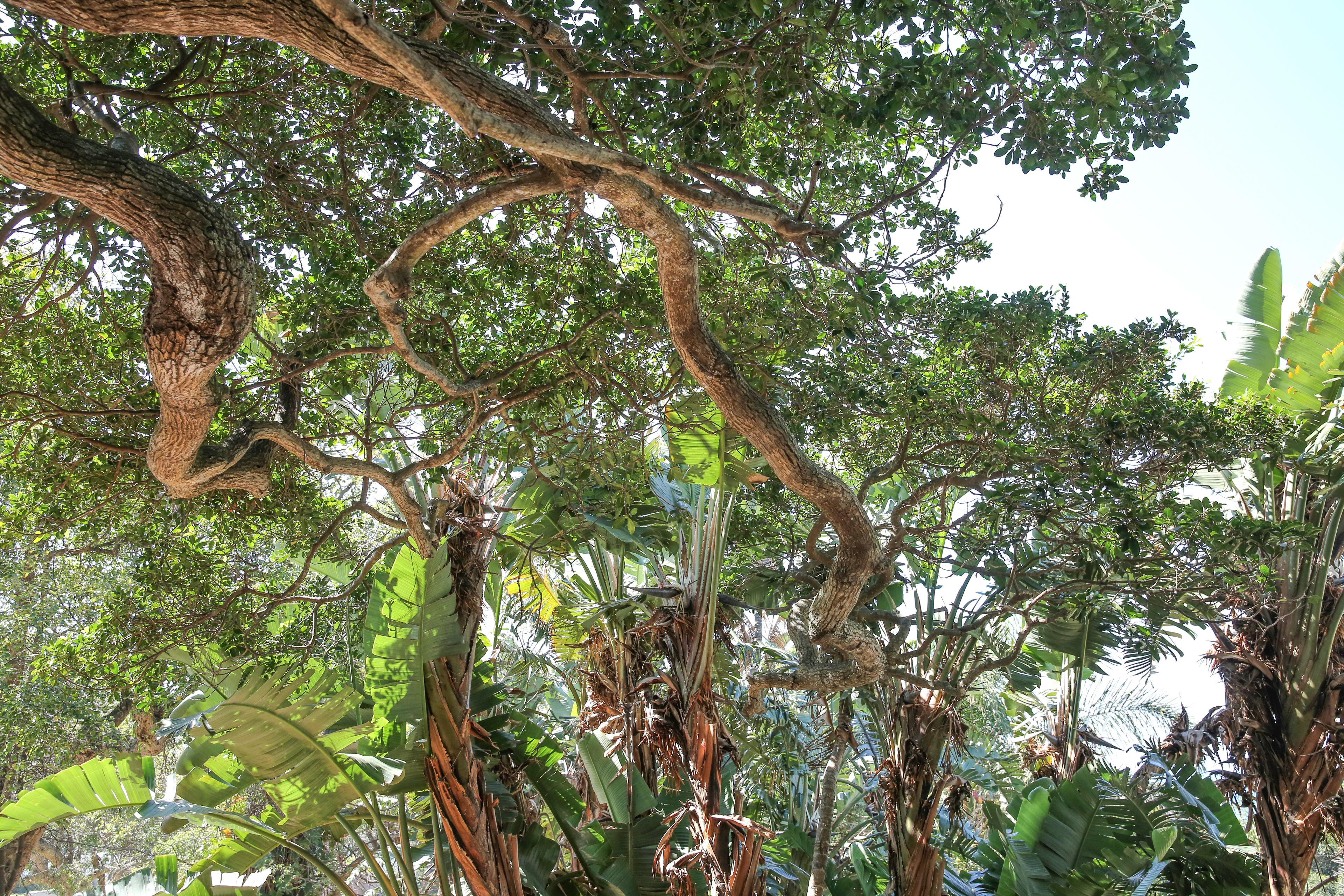 Photo - Teremok Lodge & Spa