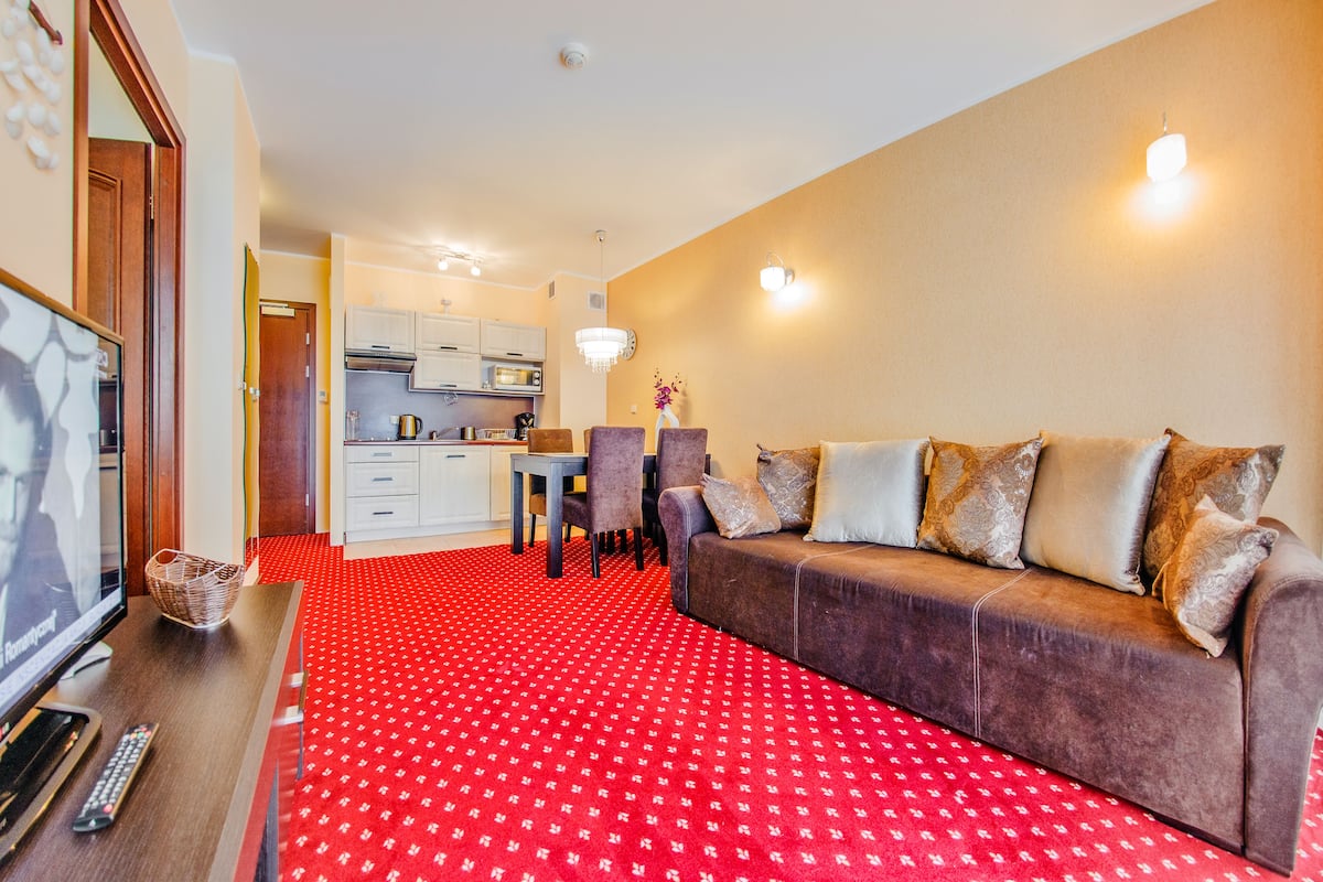 Una sala de estar con alfombra roja estampada, un sofá marrón con cojines decorados, un televisor y una cocina al fondo.