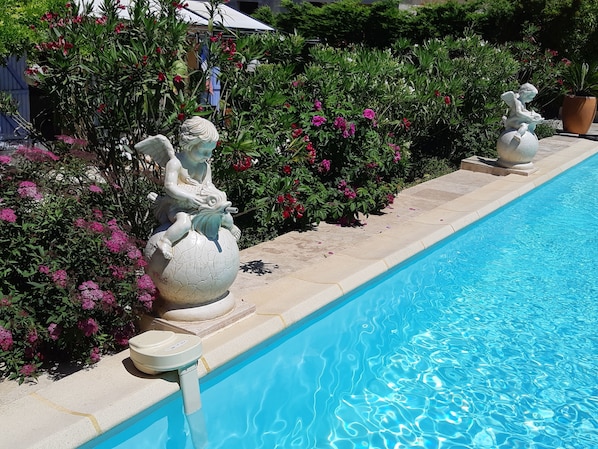 Seasonal outdoor pool, open 9:00 AM to 10:00 PM, pool umbrellas