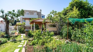 Um jardim com pérgula, um caminho e diversas plantas.