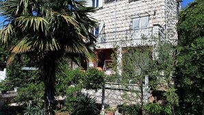 Un edificio de piedra con un jardín delantero, que incluye una palmera y varios arbustos.