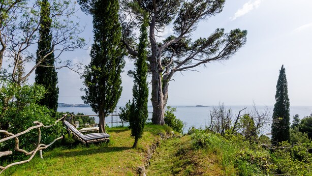 A grassy area with a hammock and a view of the sea. - Color Apartments - Comfort One Bedroom Apartment with Terrace and Partial Sea View (Mlini)