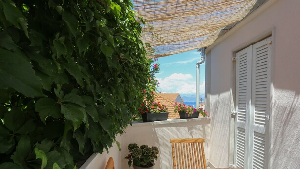 Un espace extérieur aménagé, abrité et doté de tables et de chaises, entouré de verdure et de plantes en pot.