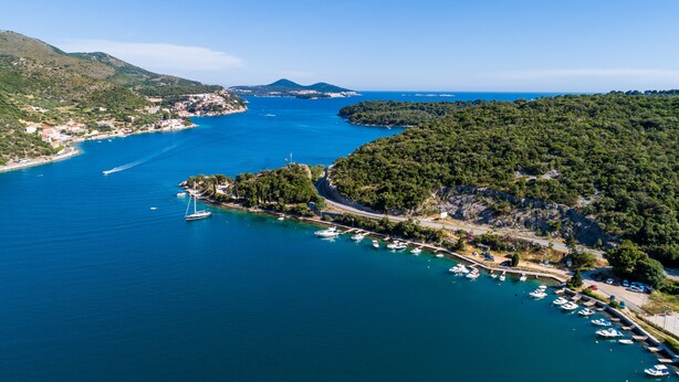 An aerial view of a coastal town with a marina, boats, and lush green hills.