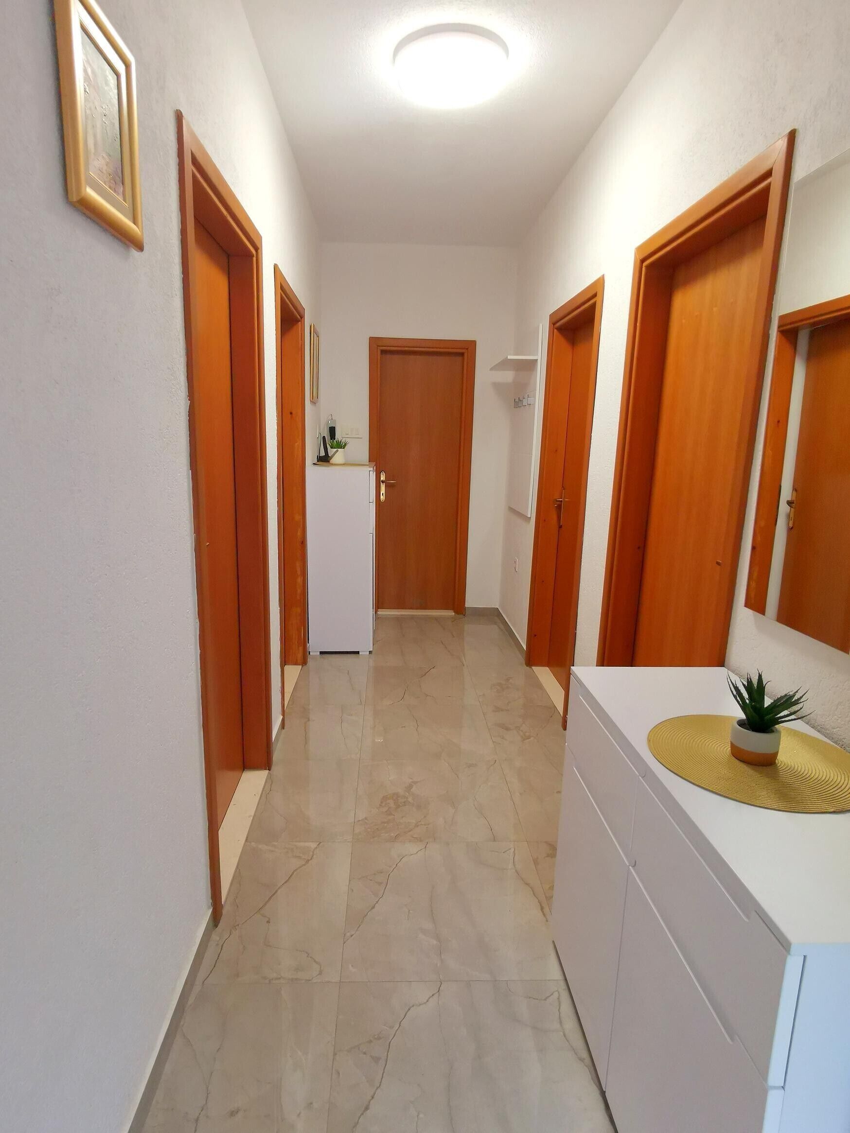 Un pasillo con puertas de madera, un armario blanco y una planta pequeña a la derecha.