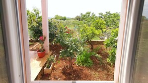 Une vue à travers une fenêtre sur un jardin où l’on aperçoit différentes plantes, et un pot de fleurs placé à gauche.