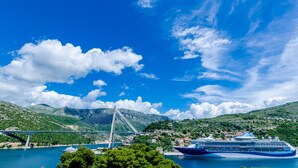 Een cruiseschip in de haven, met een brug en bergen op de achtergrond.