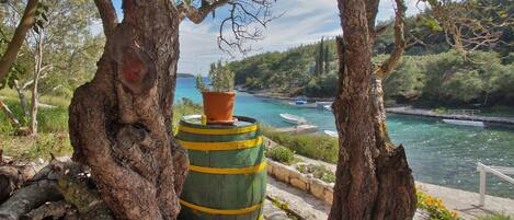 Jardines del alojamiento