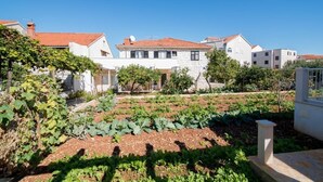 A residential area with houses, a garden, and a clear sky. - Apartment M&P - Four Bedroom Apartment with Terrace Sea View (Supetar)