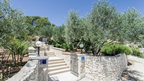 A stone staircase leading to a building entrance, surrounded by olive trees and a stone wall. - Holiday home Villa Spilla - Three Bedroom Home with Terrace (Selca)