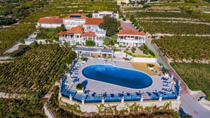 Vista aérea de una extensa propiedad con piscina rodeada de sillas de descanso, viñedos y varias edificaciones con tejados rojos.