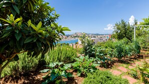 Um jardim com diversas plantas e vista para o horizonte urbano.