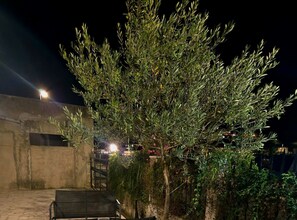Property grounds - Holiday Home Kim - Two-Bedroom House with Terrace and Sea View (Mokosica)