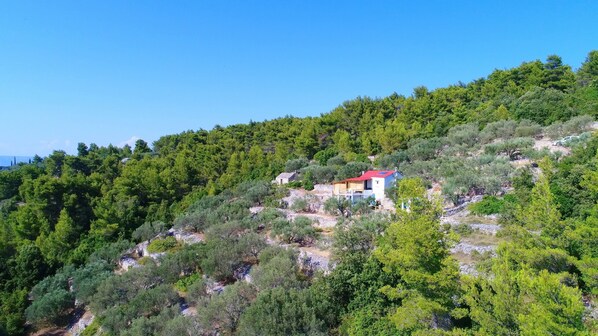 A small house with a red roof nestled among dense green trees on a hillside.