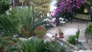 Un balcon agrémenté de plantes en pot, une vue sur la mer et une chaise.