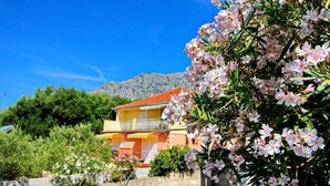 Un bâtiment à deux étages doté d’un balcon, entouré d’une végétation luxuriante et de plantes en fleurs.