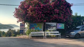 Un banco bajo un árbol en flor con carteles informativos, un coche y una vista del mar y las colinas al fondo.