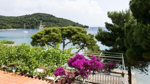 A coastal view with a vineyard, purple bougainvillea, and sailboats on the water. - Apartmetns Franka Saplunara-One-Bedroom Apartment with Terrace and Sea View No2 (Saplunara)