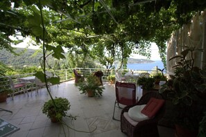 Une terrasse extérieure aménagée avec des meubles en osier et des plantes en pot, offrant une vue panoramique sur un plan d’eau et des collines.