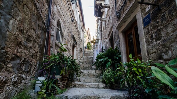 A narrow stone staircase leading up to a building entrance, surrounded by lush greenery and potted plants. - Apartments Minerva - One Bedroom Apartment No.1 (Dubrovnik)
