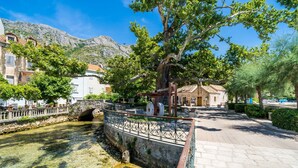 A stone bridge over a clear water canal, surrounded by trees and buildings with a mountainous backdrop.
