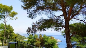 A balcony with a view of the sea, surrounded by trees.