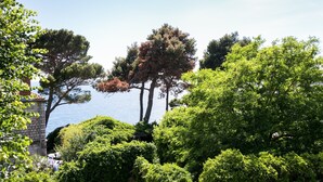 Eine Küstenlandschaft mit üppiger Vegetation und freiem Blick auf das Meer.