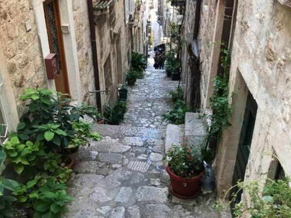 Enceinte de l’hébergement