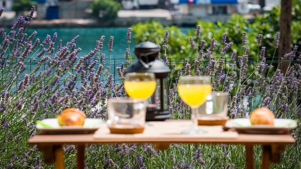 Een tafel met twee glazen gele drank, een lantaarn en een bord met fruit, voor een achtergrond van paarse bloemen en een wateroppervlak.