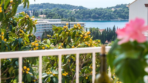 A balcony with a view of a coastal town, greenery, and a building with a curved facade. - Villa Bind Twin Room with Patio and Garden View R1 (Obod)