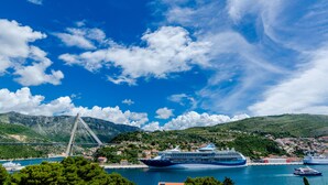 A cruise ship docked at a port with a bridge and hills in the background.