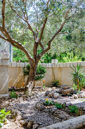 Un árbol en un jardín rocoso, con un muro de piedra al fondo.