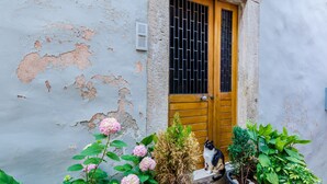 Ein verwittertes Gebäude mit abblätternder Farbe, einer Holztür mit einem Metallgitter und einer Katze, die davor sitzt.