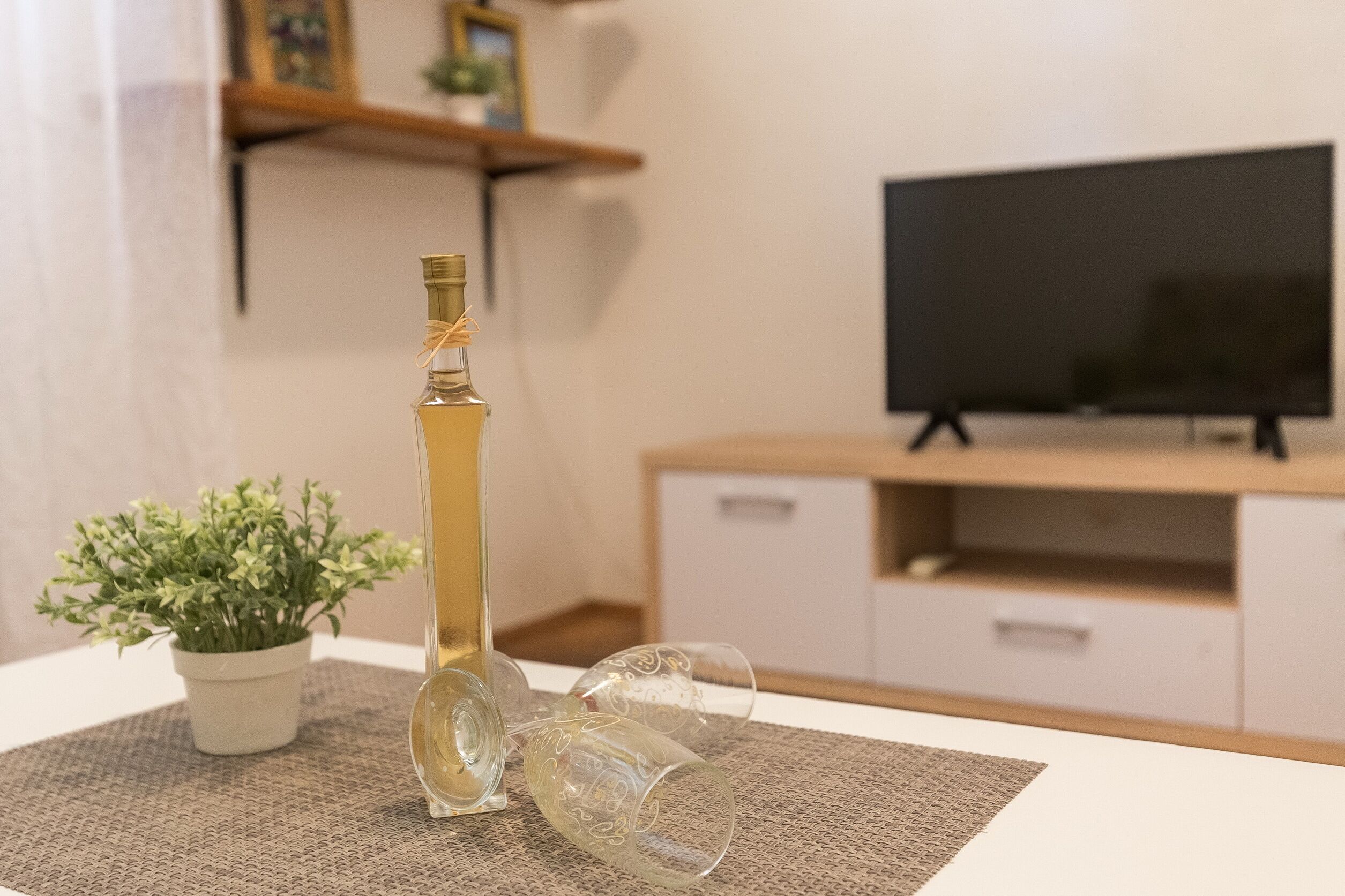 Una stanza con una televisione su un mobile, una piccola pianta in vaso e una bottiglia su un tavolo.